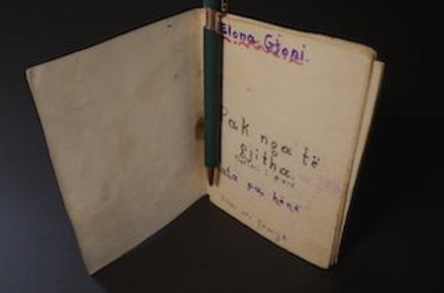 Quaderno e penna di Elona